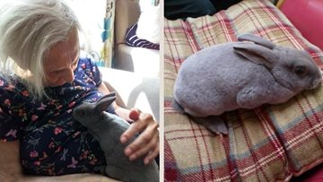 Mr Nibbles brings a special smile to Maple Lodge Residents